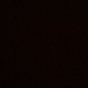 Meet your Posher, Maggie